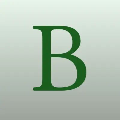 Berd, магазин хозяйственных товаров, лого-визитка