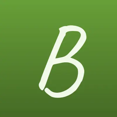 Brightbabyshop, магазин детских колясок, лого-визитка