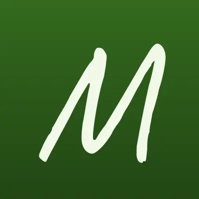 Мастер инструмент, магазин инструментов для СТО, лого-визитка
