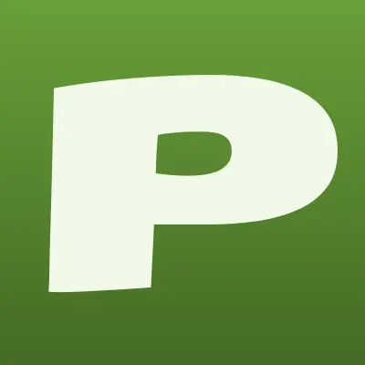 Pioneer, автомагазин, лого-визитка